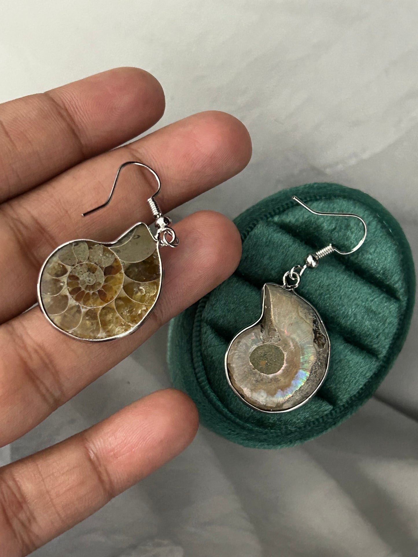 Ammonite Spiral Earrings
