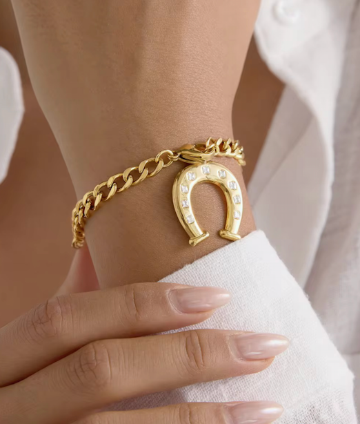 Fortune Stainless Steel Bracelet