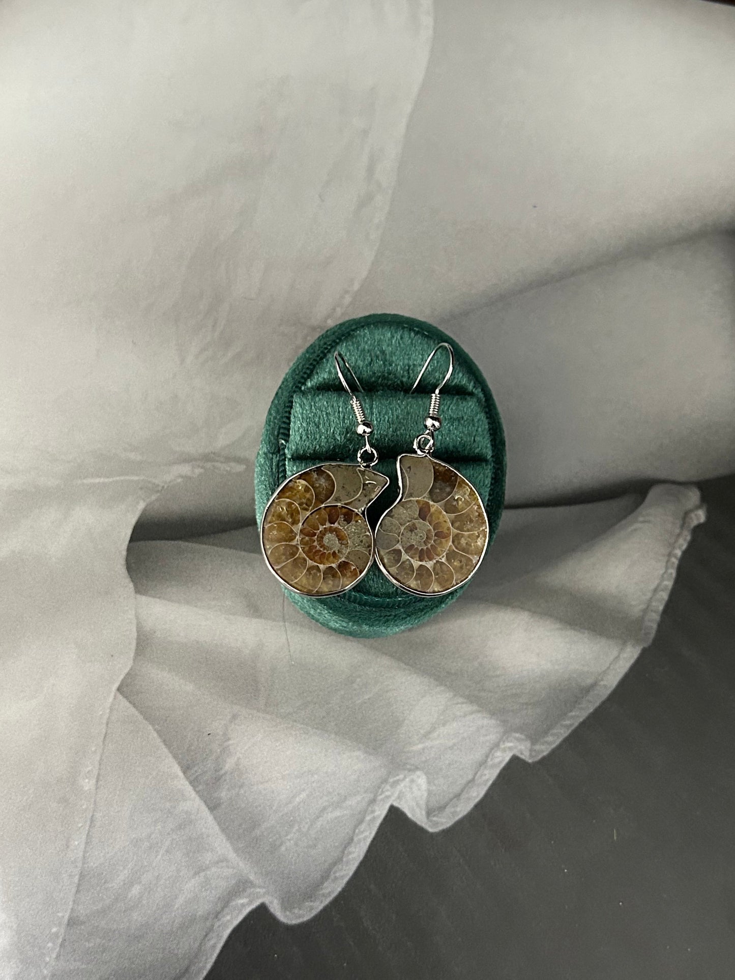Ammonite Spiral Earrings