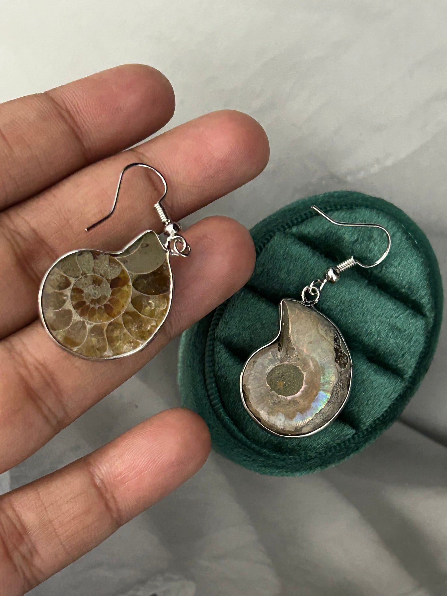 Ammonite Spiral Earrings