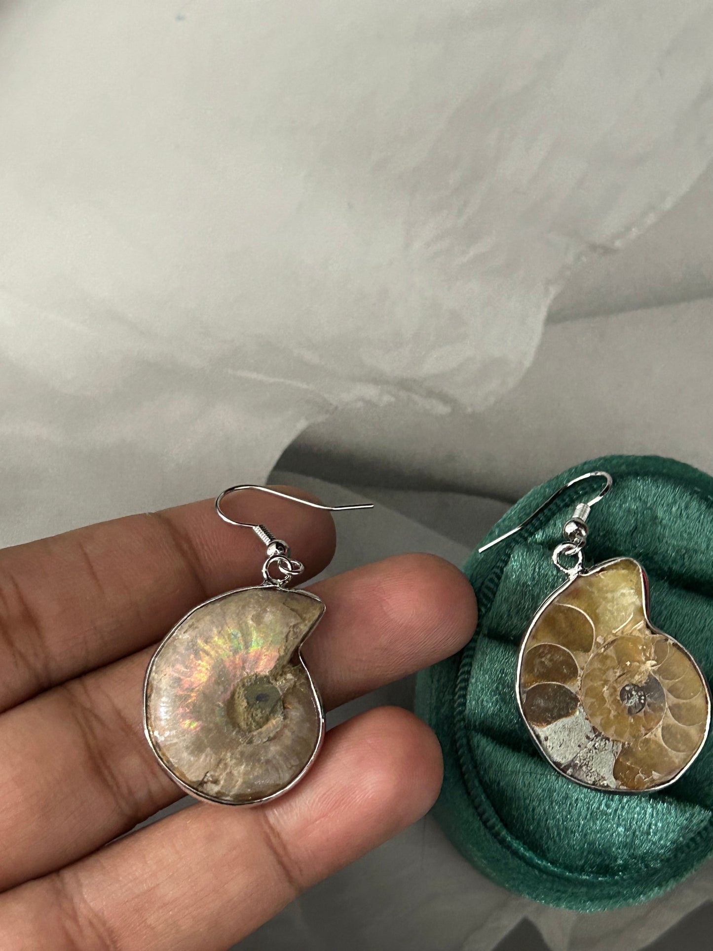 Ammonite Spiral Earrings