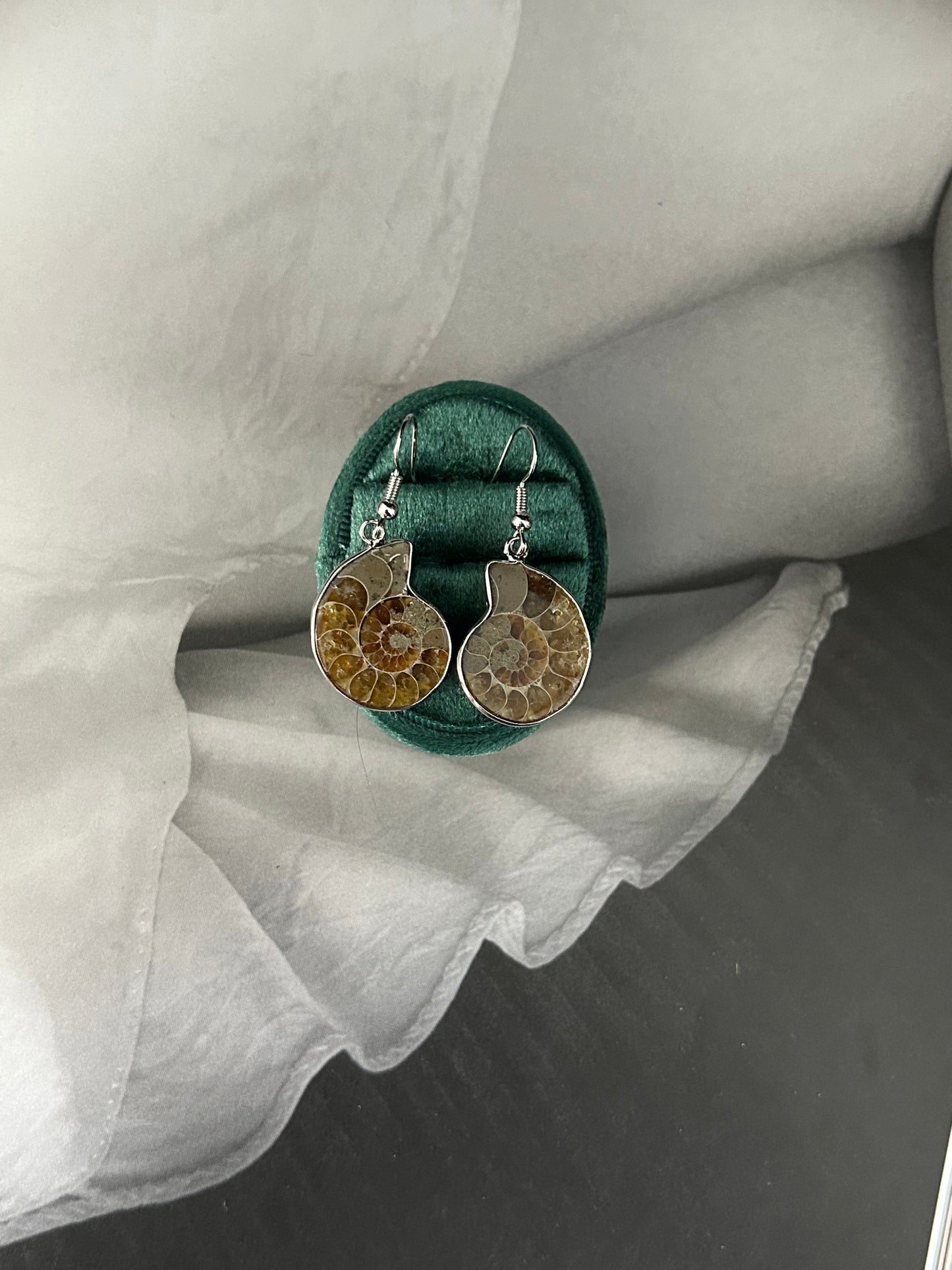 Ammonite Spiral Earrings
