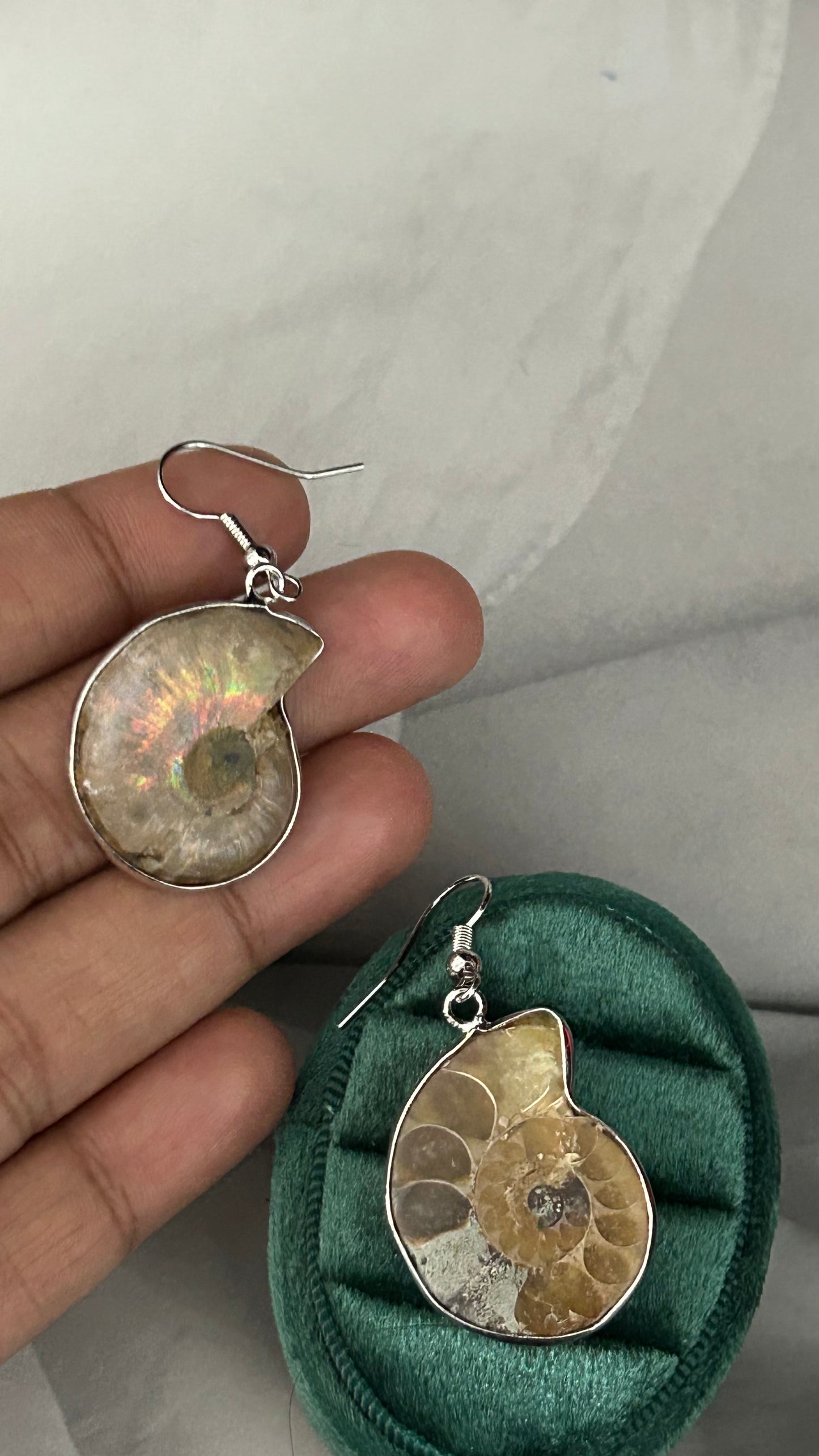 Ammonite Spiral Earrings