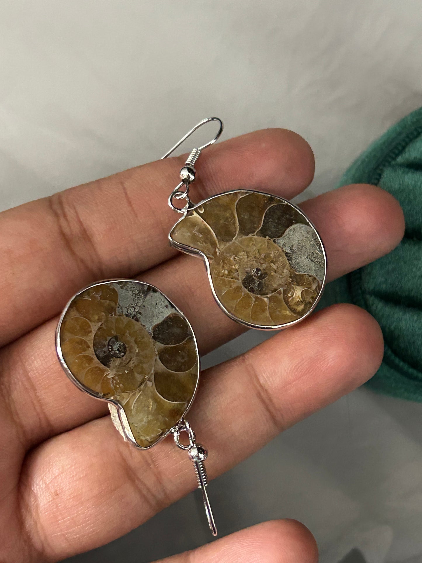 Ammonite Spiral Earrings