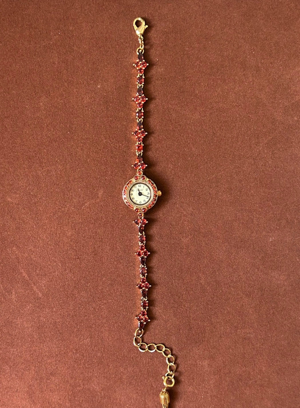 The Garnet Relic Watch