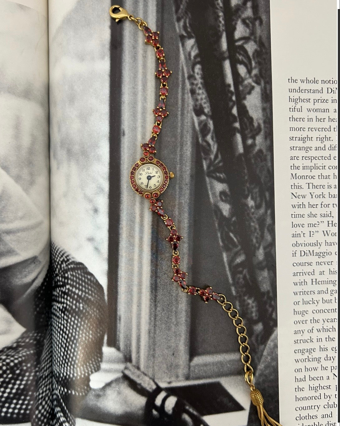 The Garnet Relic Watch
